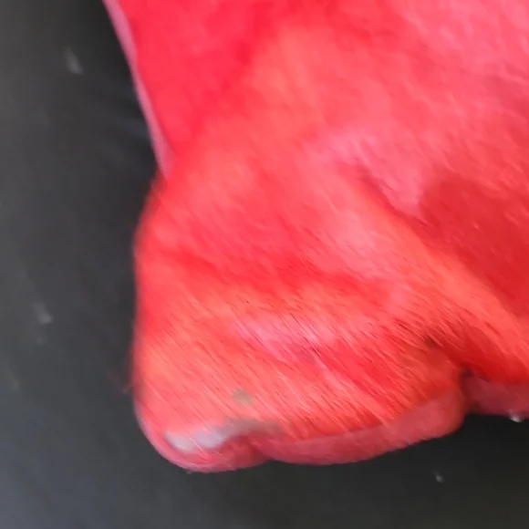 Pier 1 100% Cowhide Red Accent Pillow with Geometric Design - Picture 5 of 7